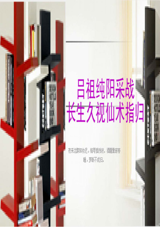 吕祖纯阳采战长生久视仙术指归