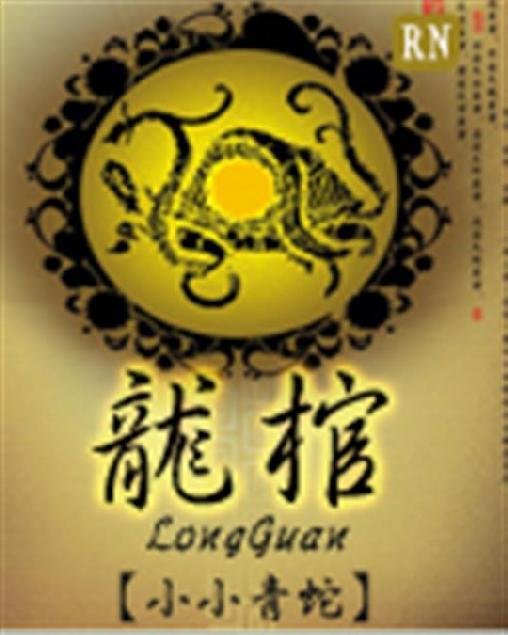 《龙棺》.epub 作者：小小青蛇