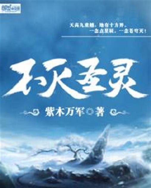 《不灭圣灵》.epub 作者：紫木万军