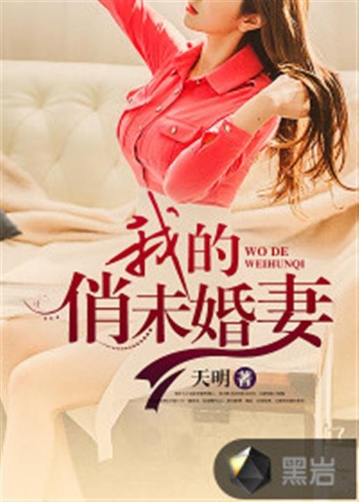 《我的俏未婚妻》.epub 作者：天明