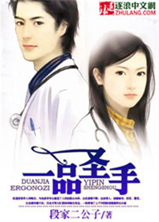 《一品圣手》.epub 作者：段家二公子
