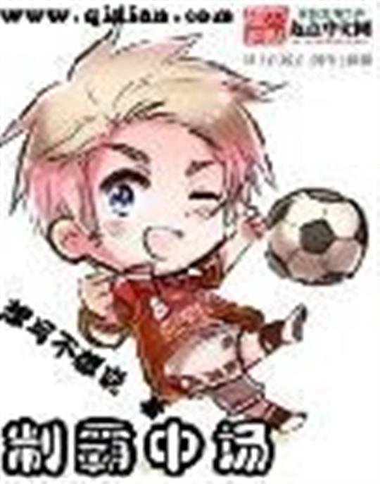《制霸中场》.epub 作者：想写不想说