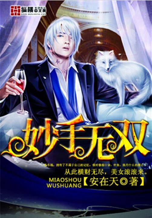 《妙手无双》.epub 作者：安在天