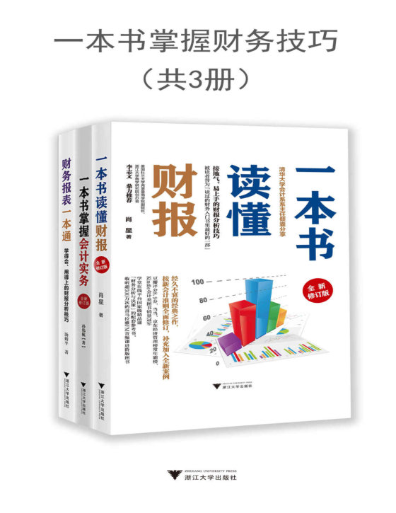 一本书掌握财务技巧（套装共3册)