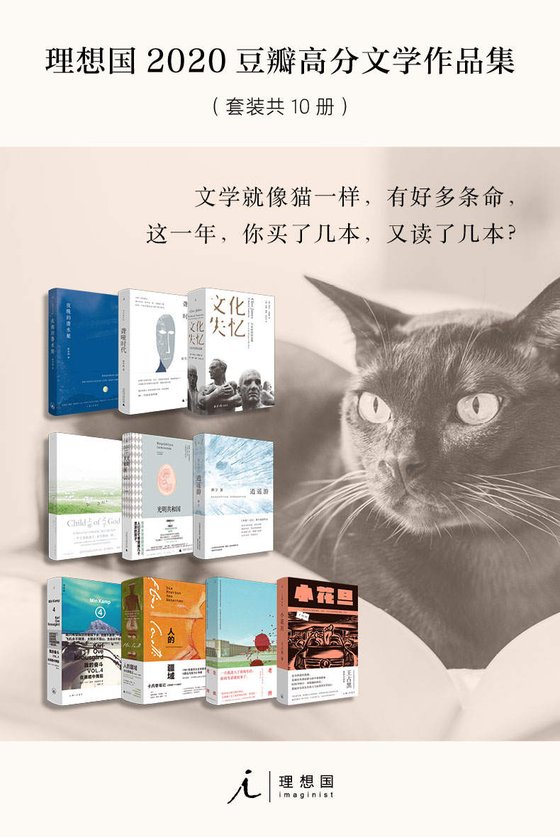 《理想国2020年豆瓣高分文学作品集》 作者：陈春成