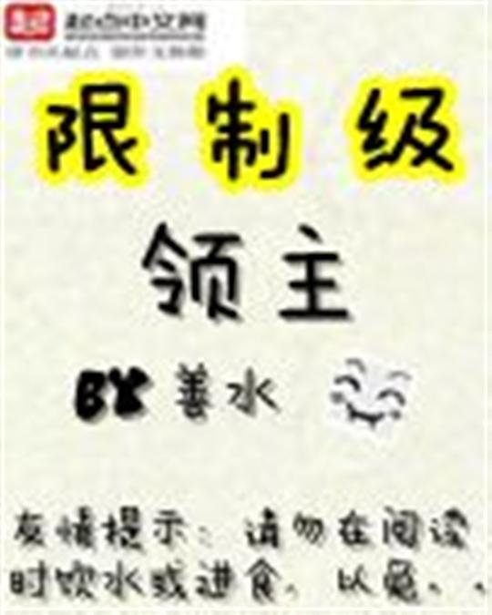 《限制级领主》.epub 作者：善水