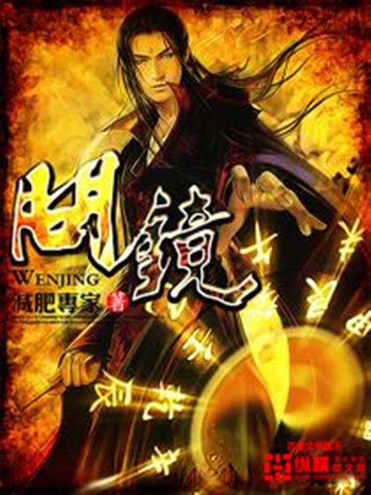 《问镜》.epub 作者：减肥专家