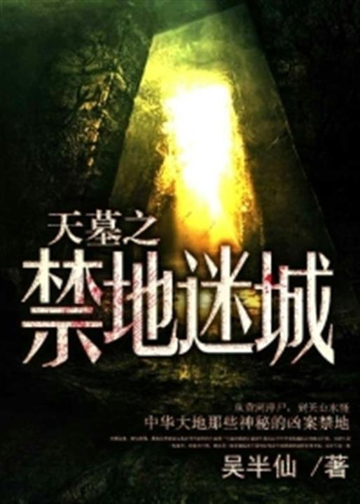 《天墓之禁地迷城》.epub 作者：吴半仙