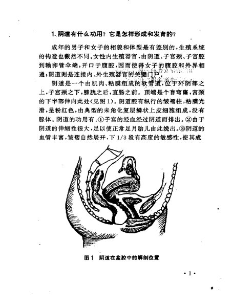 女性阴道疾病防治85问.傅才英.李亚里.影印版